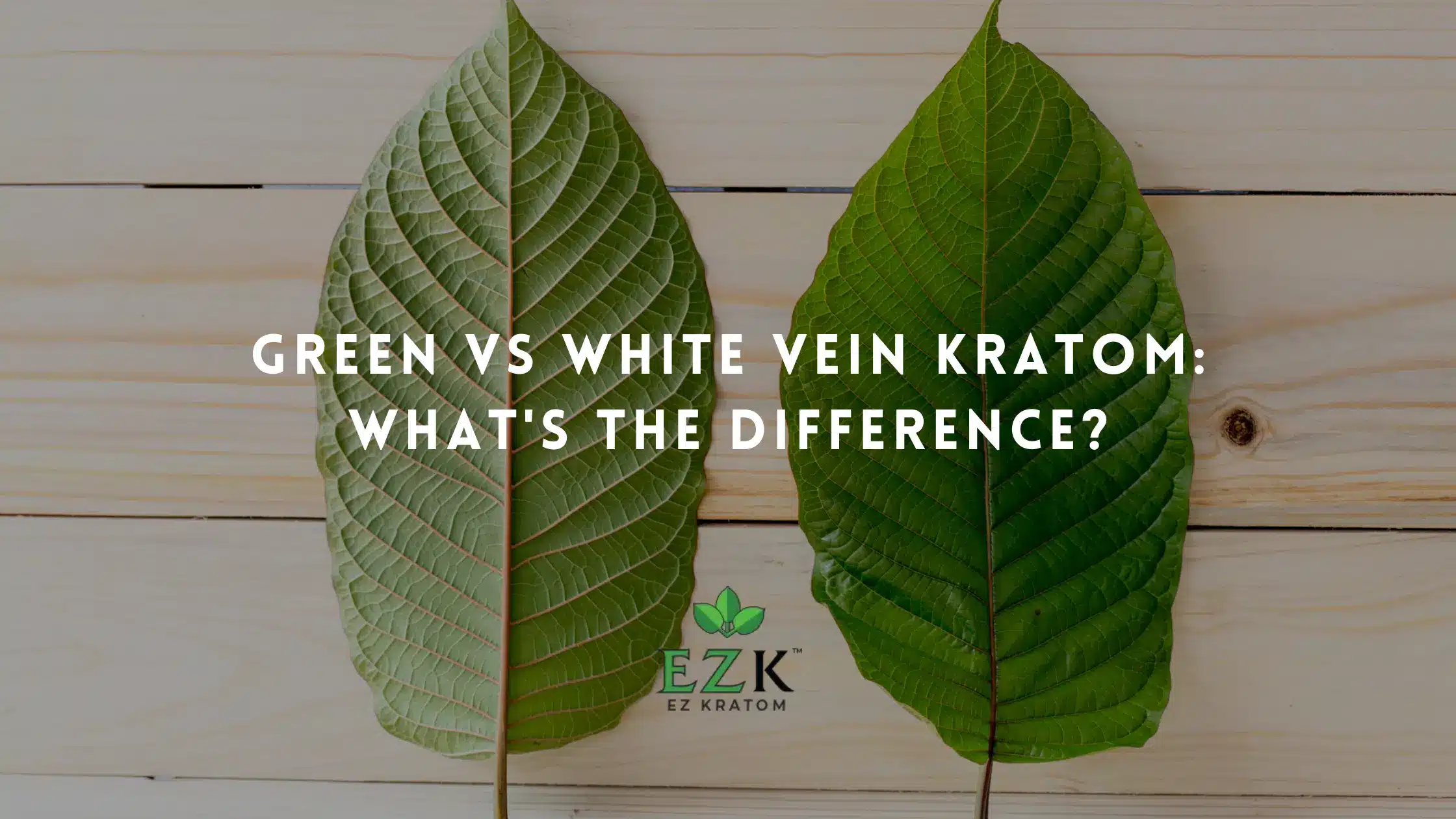 Green Vs White Vein Kratom: What’s the Difference?
