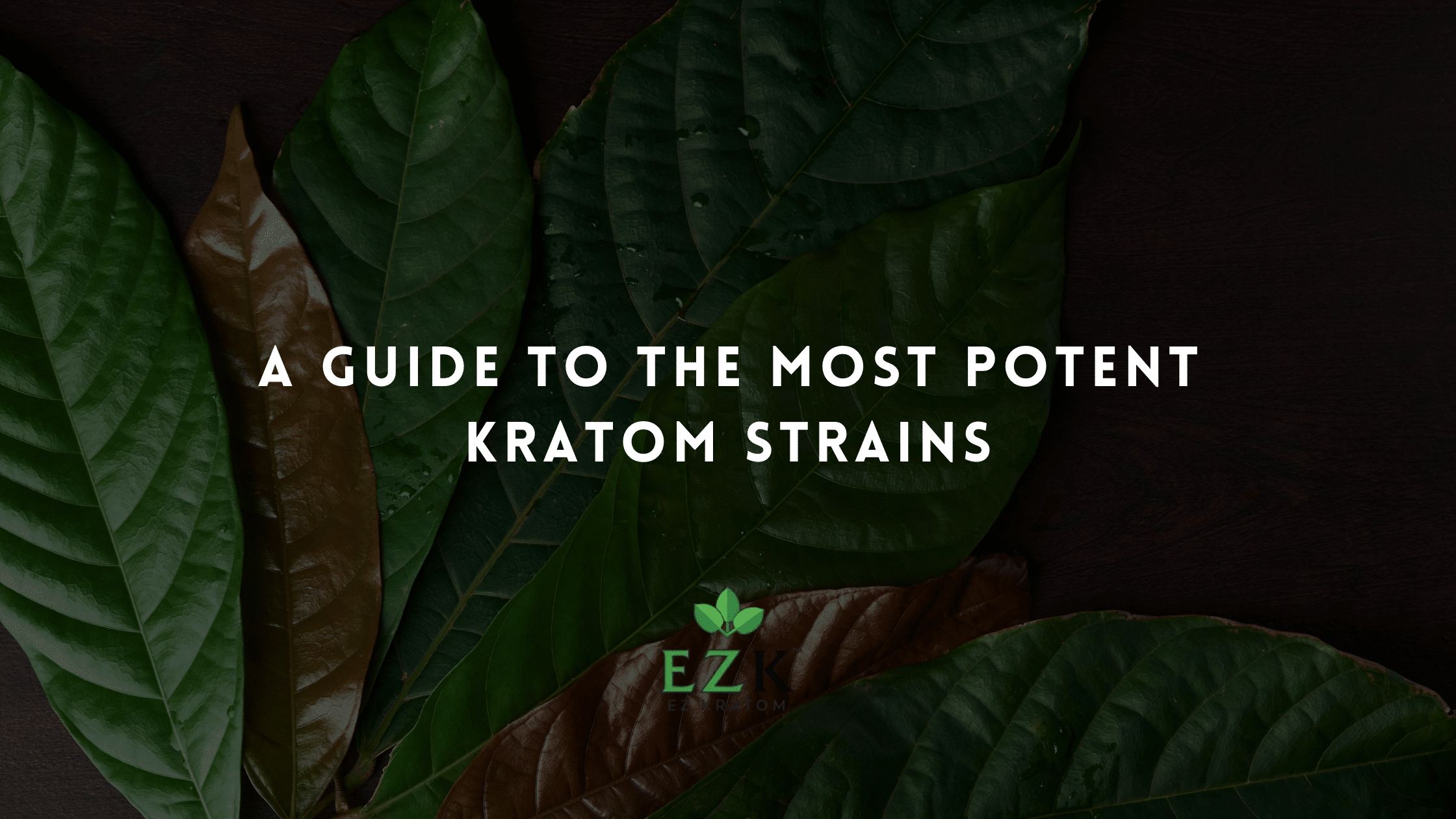 A Guide to the Most Powerful Kratom Strains