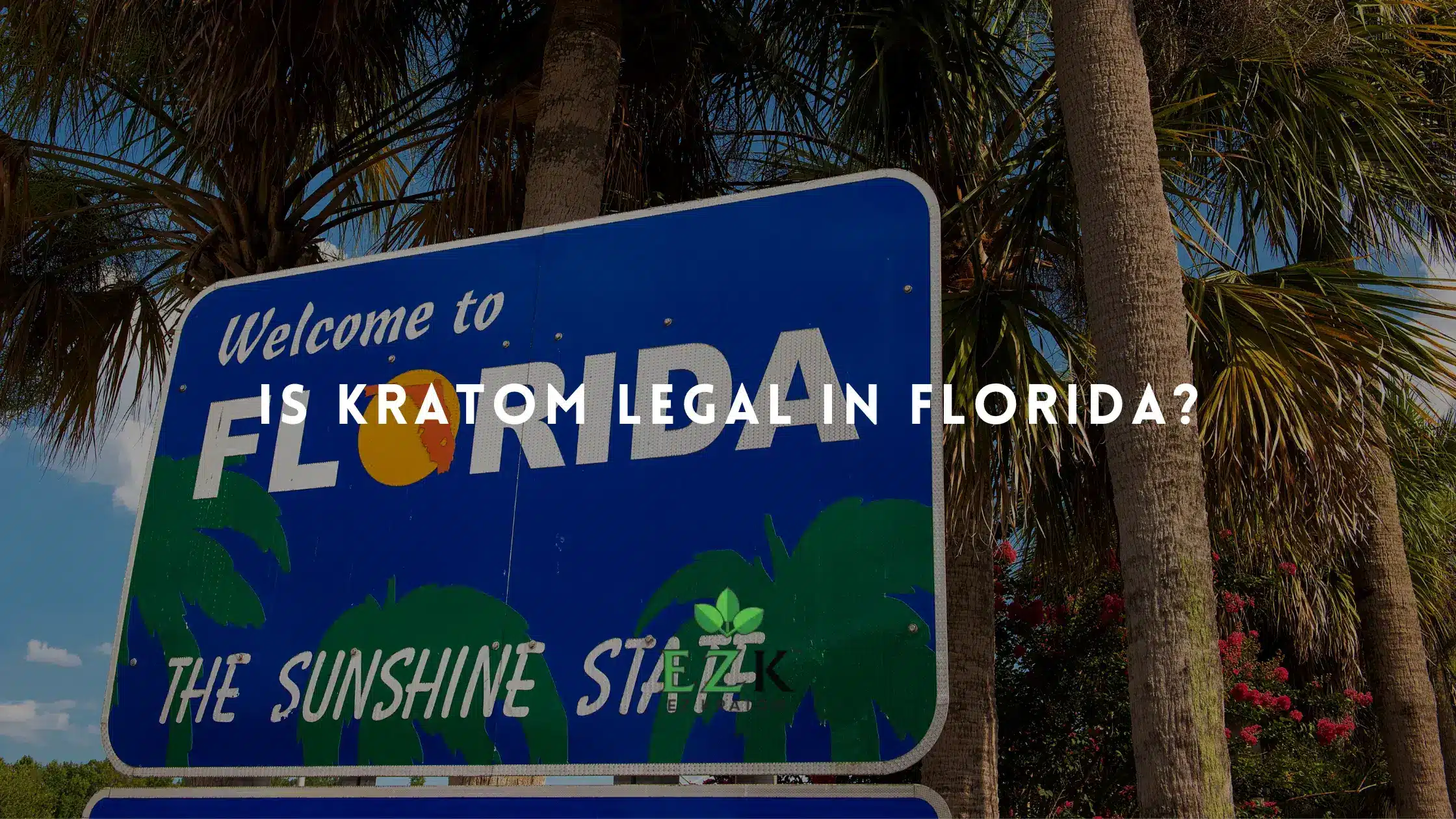 Is Kratom Legal in Florida?
