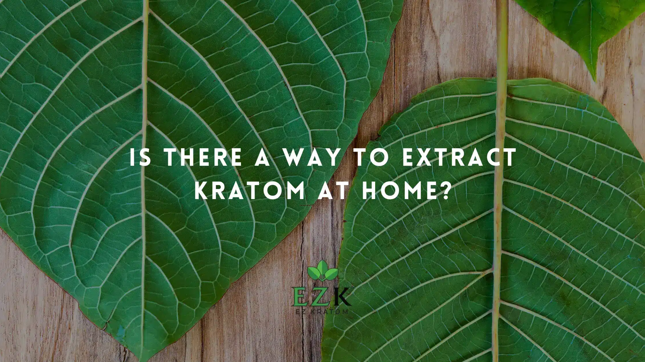 Is There a Way to Extract Kratom at Home?