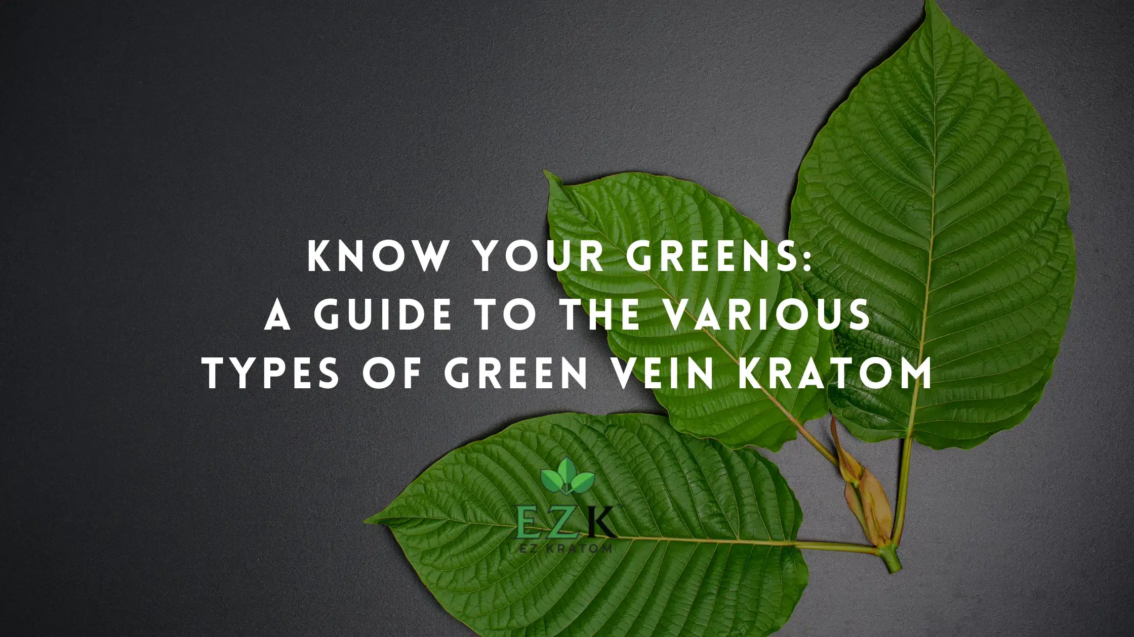 Know Your Greens: A Guide to the Various Types of Green Vein Kratom