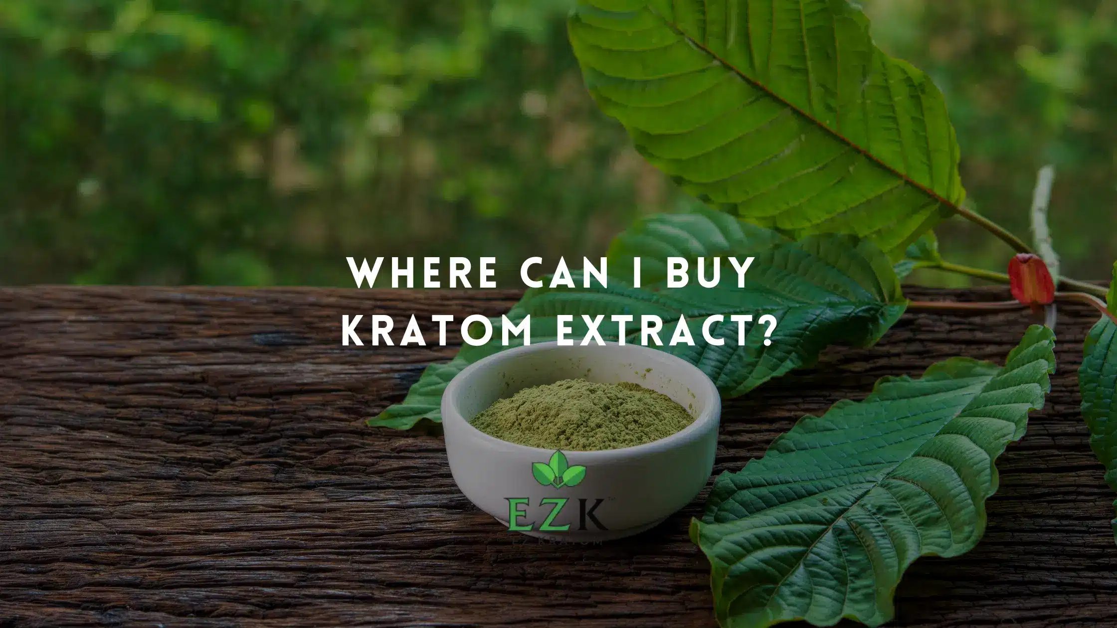 Where Can I Buy Kratom Extract?
