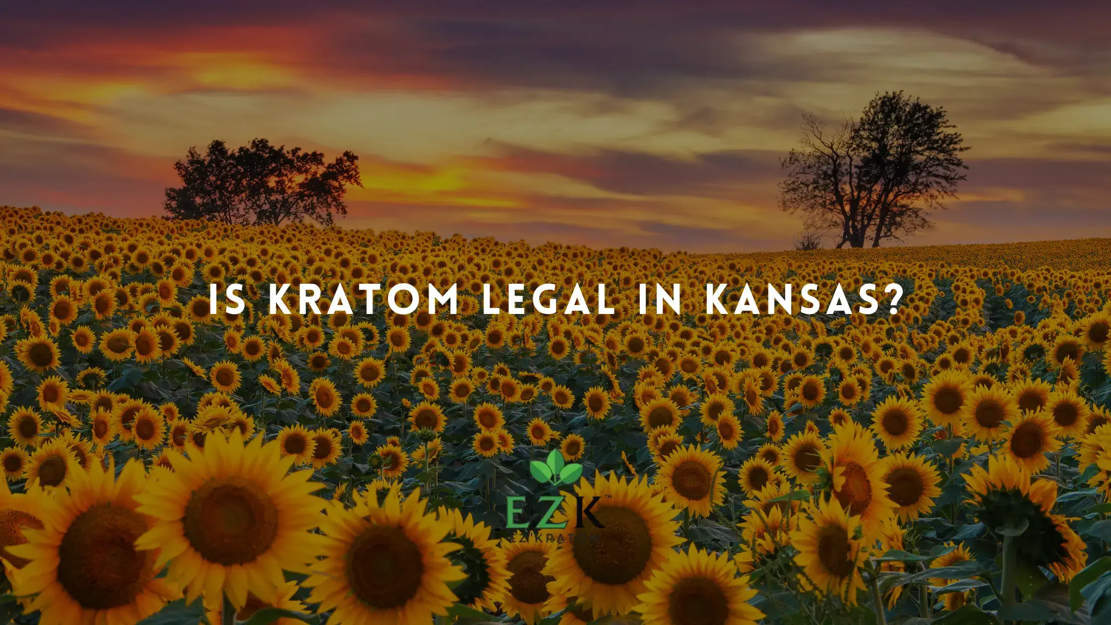 Is Kratom Legal in Kansas?