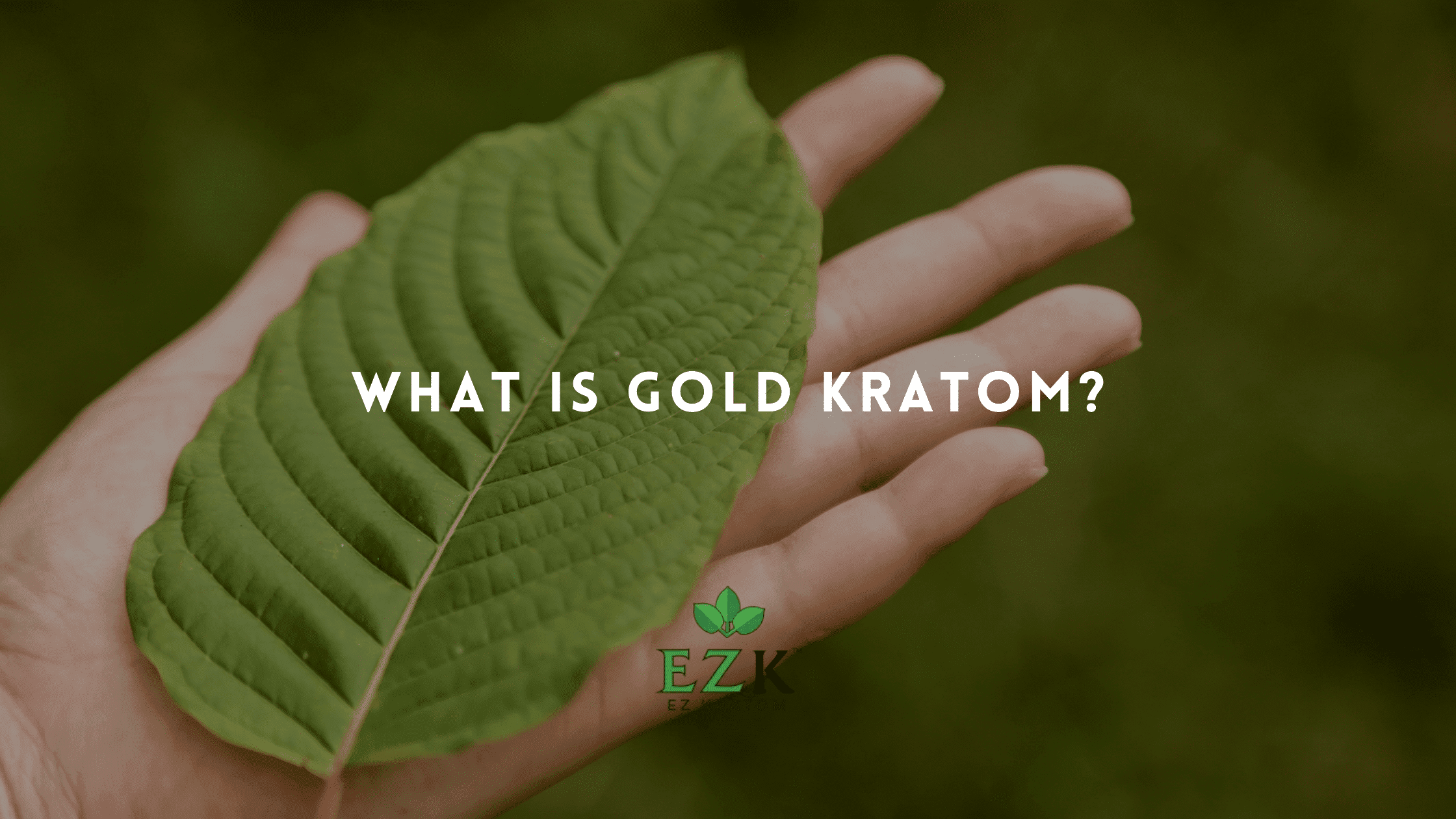 What Is Gold Kratom?