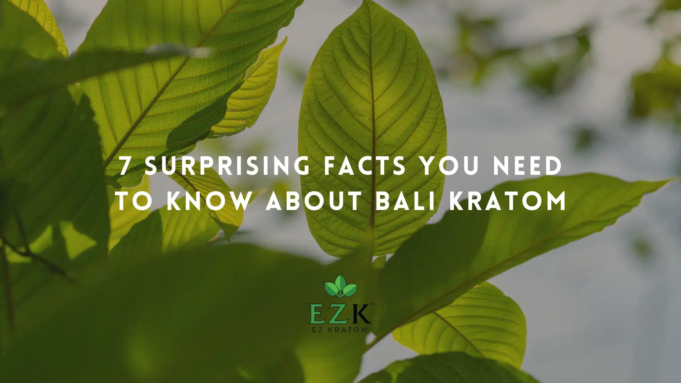 7 Surprising Facts You Need to Know About Bali Kratom