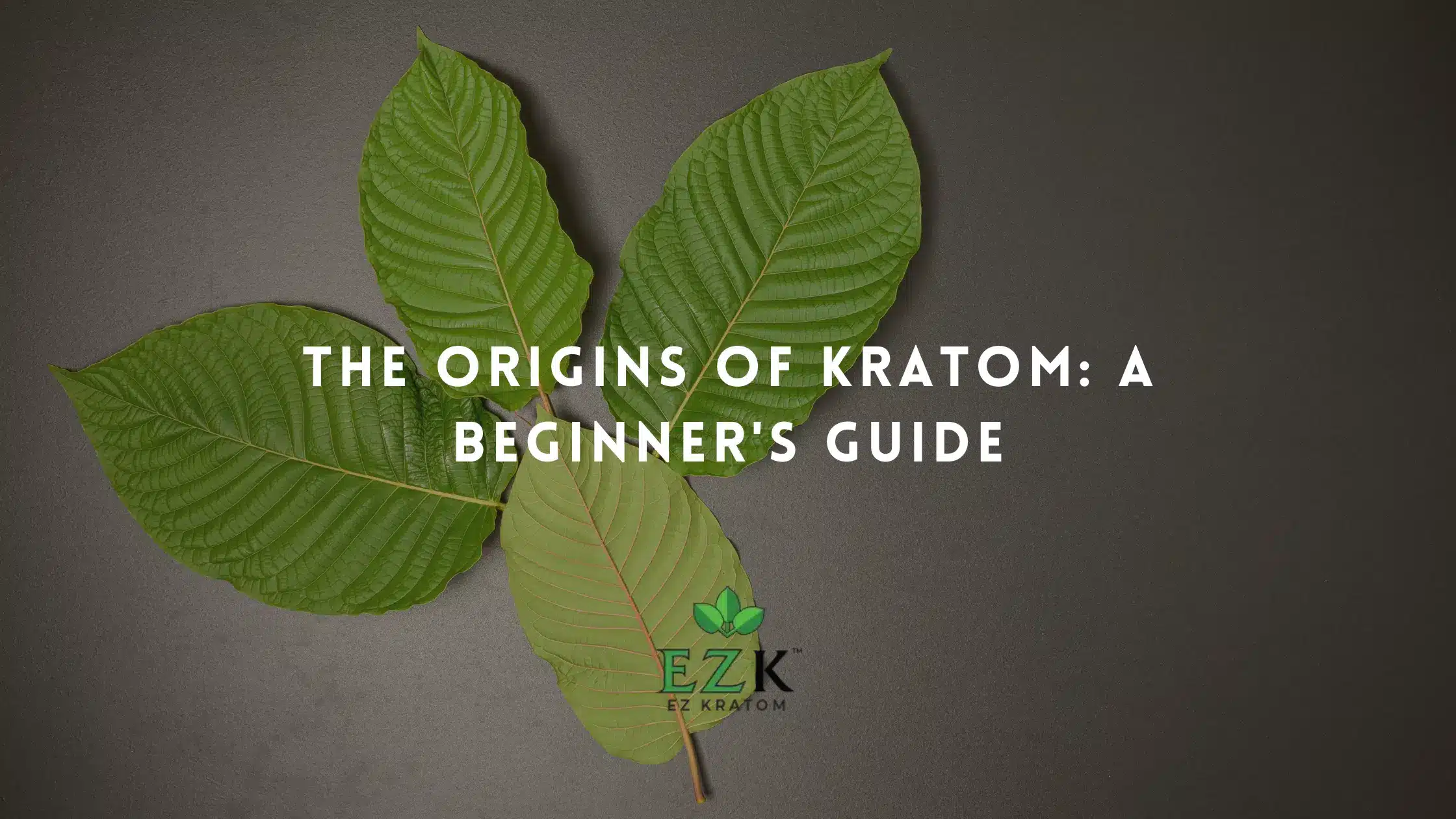 The Origins of Kratom: A Beginner’s Guide