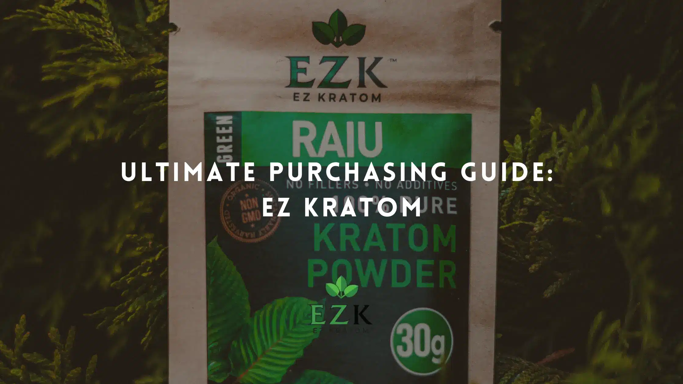 Ultimate Purchasing Guide: EZ Kratom