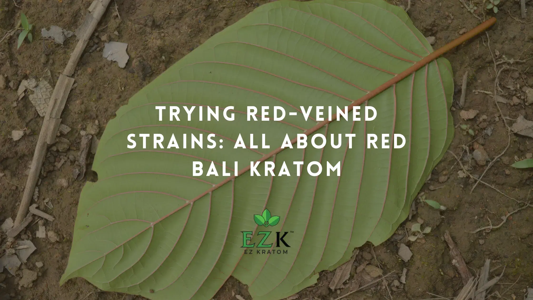 Trying Red-Veined Strains: All About Red Bali Kratom