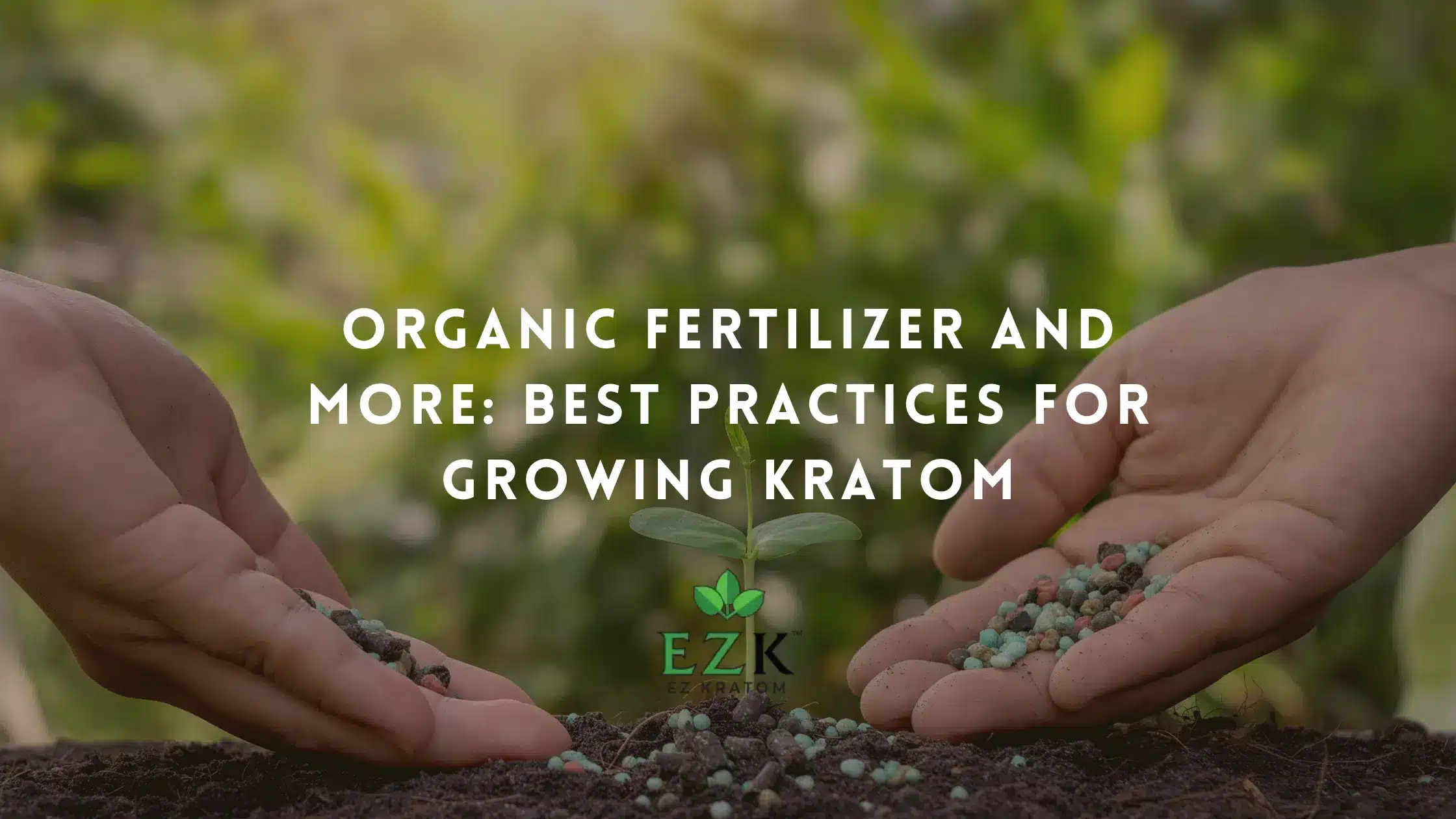 Organic Fertilizer and More: Best Practices for Growing Kratom