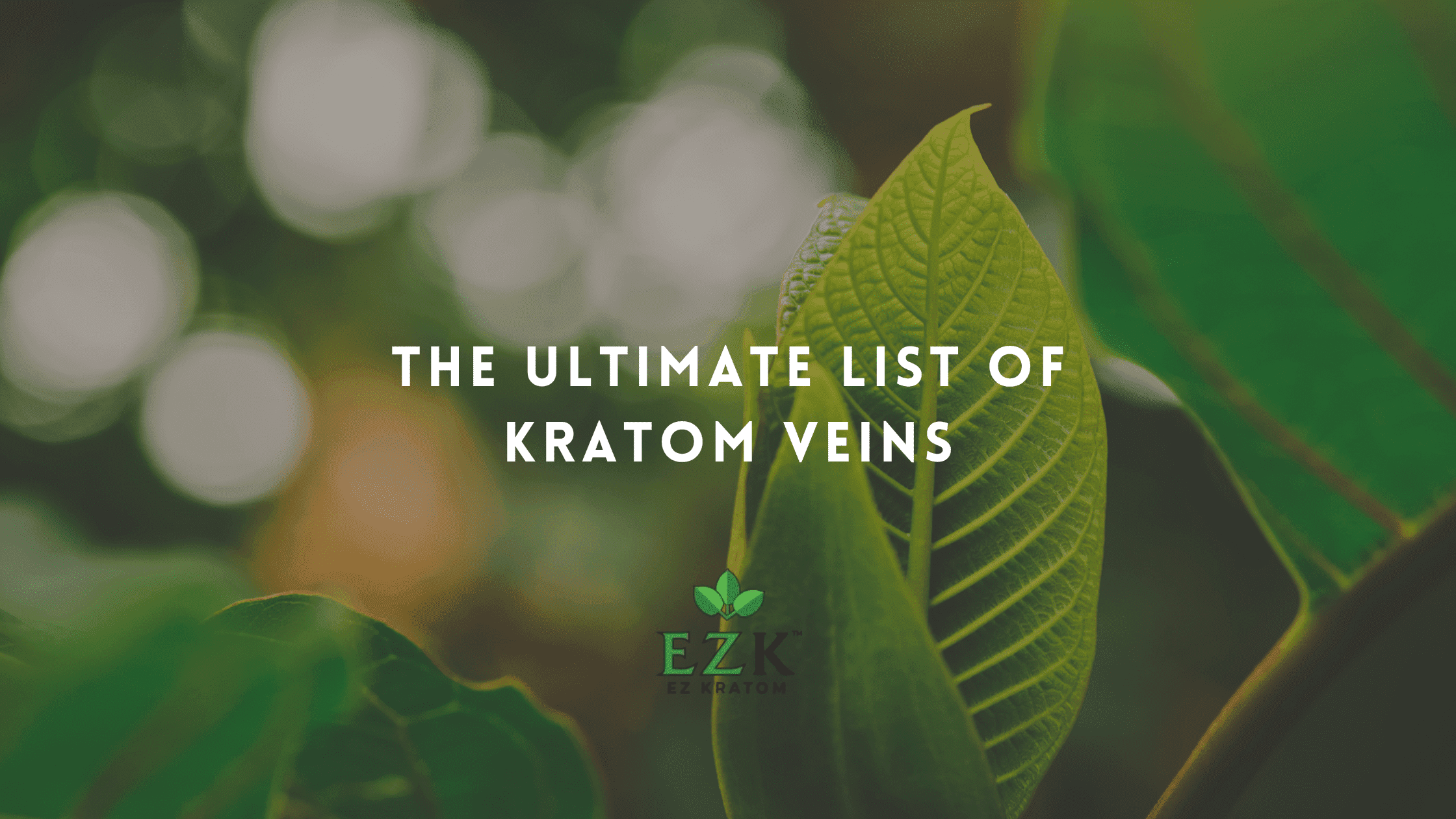 The Ultimate List of Kratom Veins