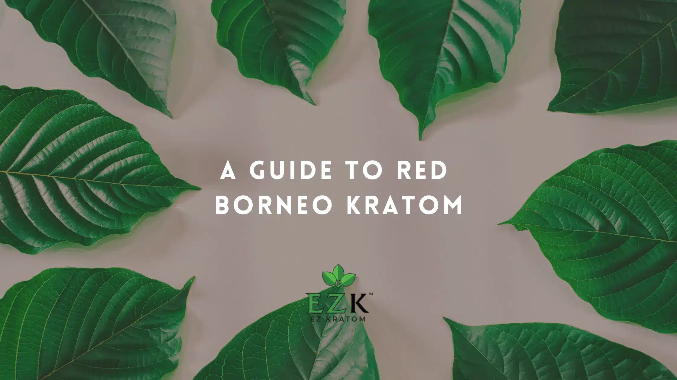 What Is Red Borneo Kratom?