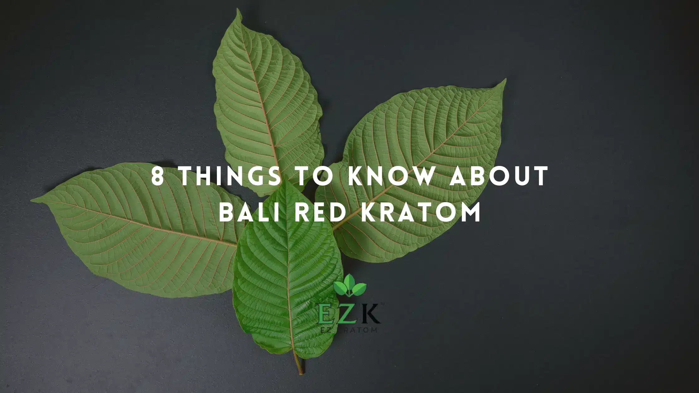 8 Things to Know About Bali Red Kratom