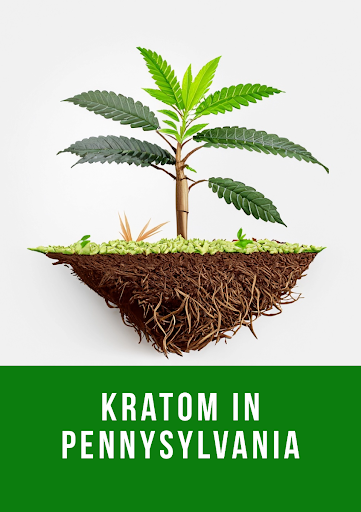 Kratom in Pennsylvania: Navigating Legalities, Varieties, and Responsible Usage