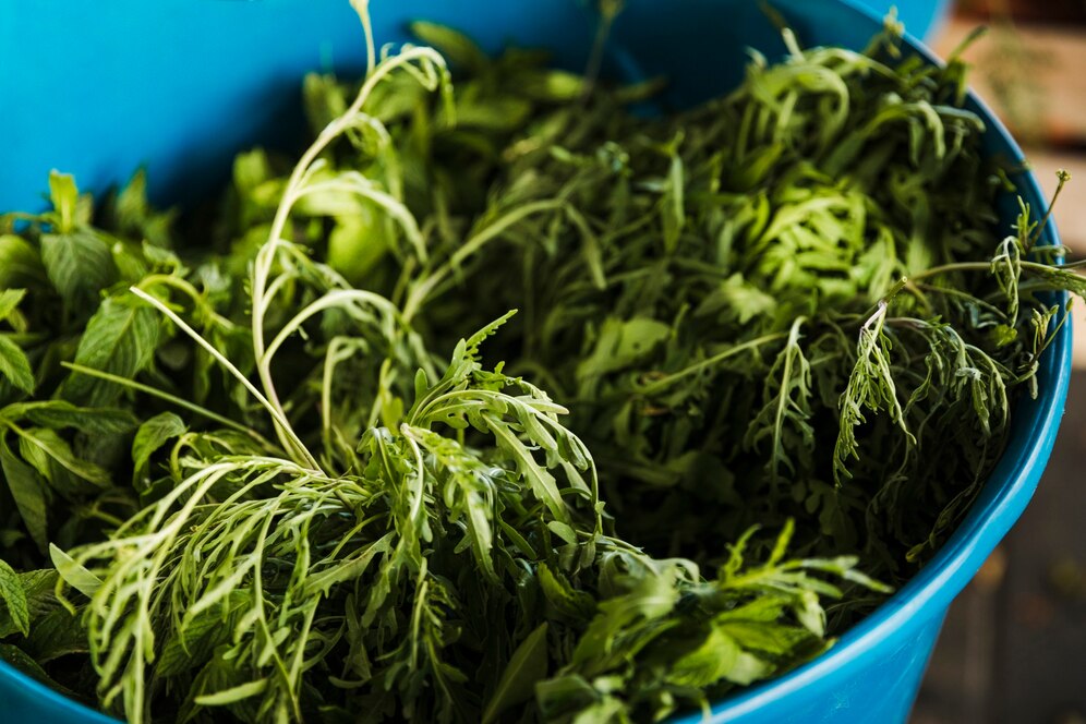 7 Most Popular Kratom Strains and Their Unique Effects – 2025