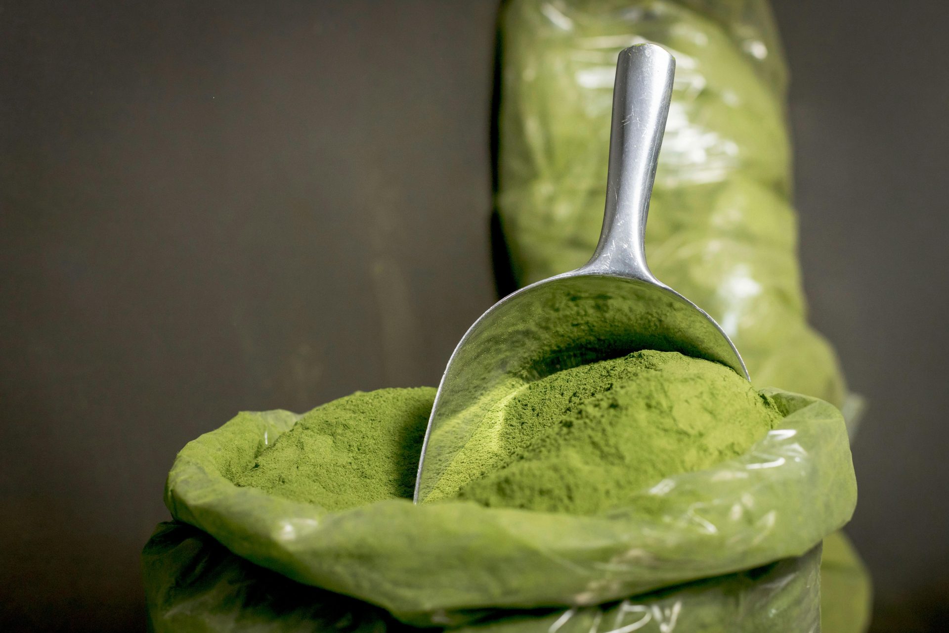 Green Maeng Da vs White Maeng Da: Which Is Better for Energy & Focus?