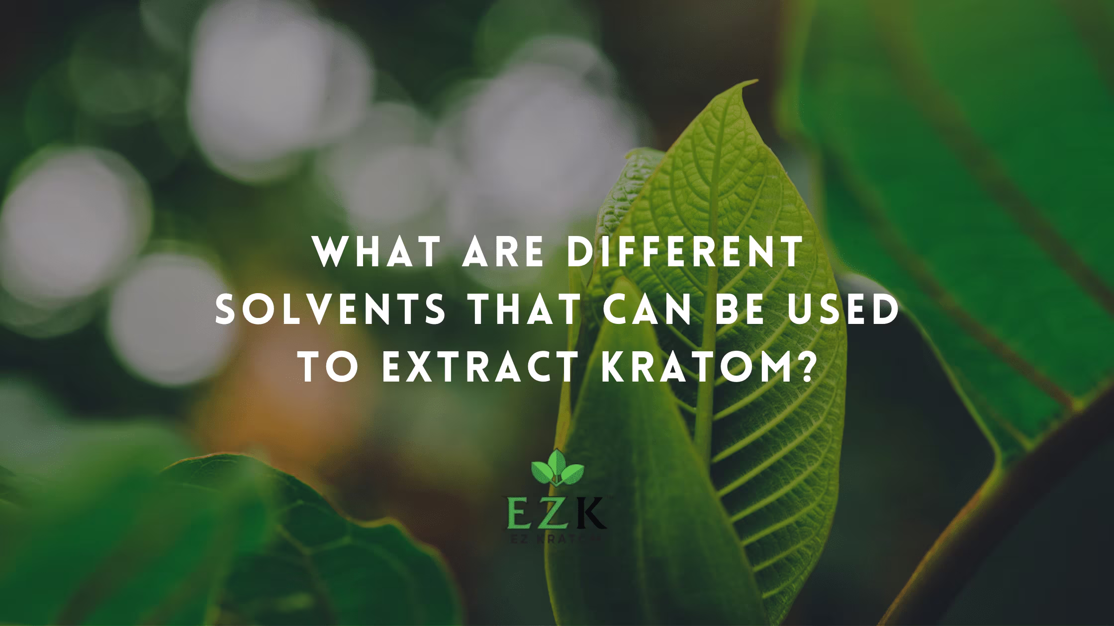 What Are Different Solvents That Can Be Used to Extract Kratom?