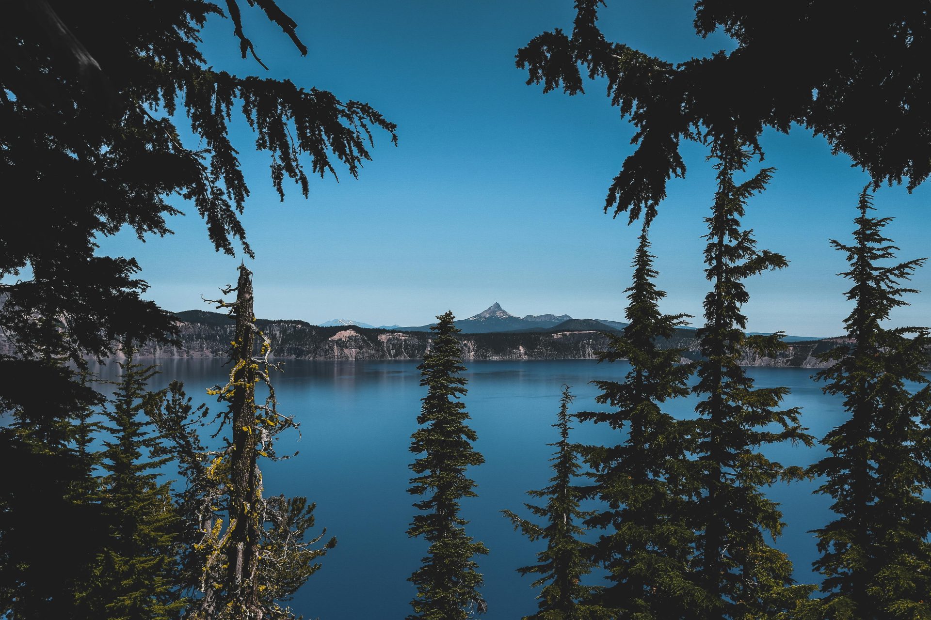 List of Festivals in Oregon – 2025